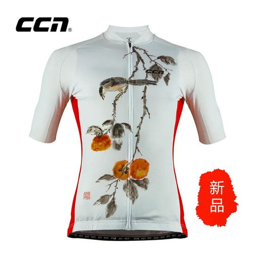 當藝術與華服相遇 名家手繪CCN中國風服裝珍藏版為何一衣難求